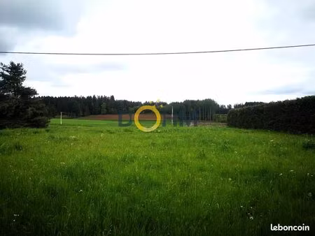 terrain 1589 m² félines