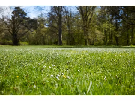 vente terrain 744 m² à richelieu (37120)  26 000 €