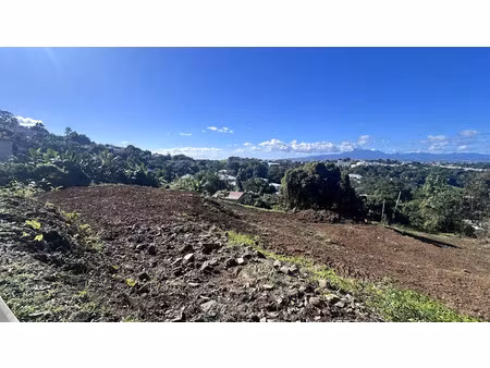 vente terrain 800 m² à ducos (97224)  122 000 €