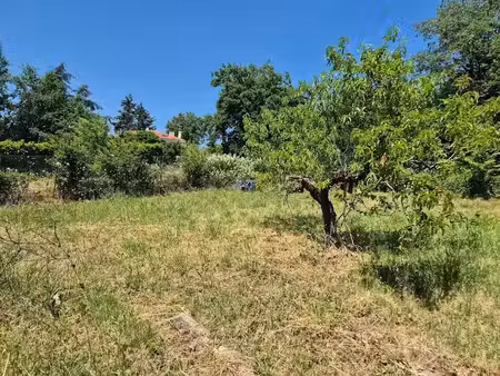 vente terrain à batir 1748 m² à arthès (81160)  109 000 €