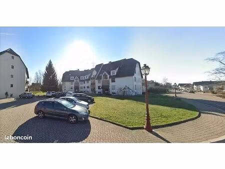 holtzheim spacieux 3p avec terrasse