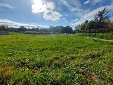 vente terrain au pertre (35370) : à vendre / 788m² le pertre