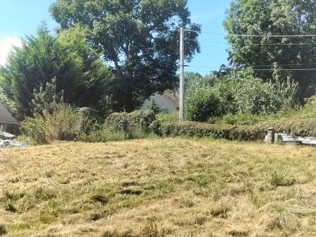 terrain constructible