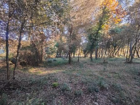 biot. terrain proche d'air france de + 1 300 m².
