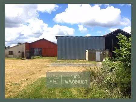 proche bazas - hangar de 570m² sur 4105 m² borné - entre baza