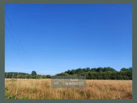 terrain à bâtir industriel et professionnel-7120m²-bazas-gi