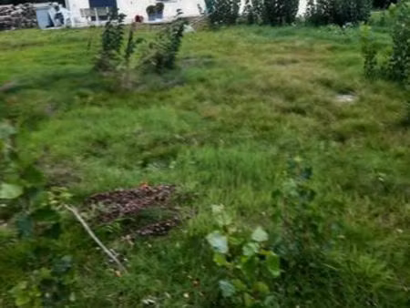 maison a louer grand terrain