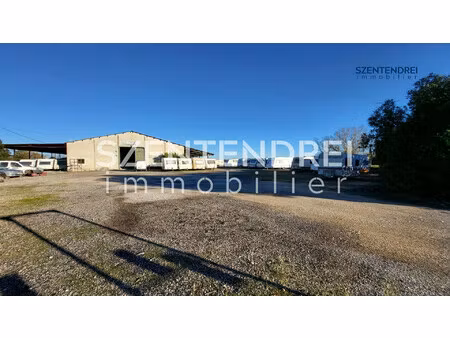 immobilier professionnel à vendre saint-laurent-d'aigouze