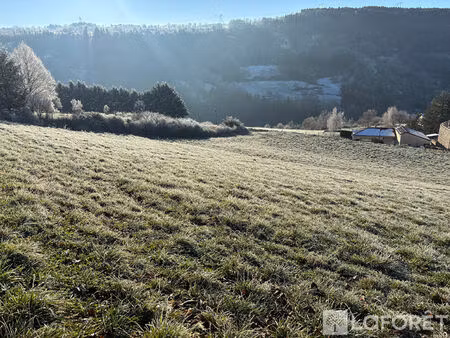 terrain polignac 1533 m2