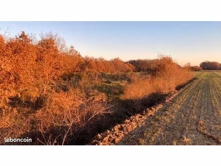 terrain de loisir arboré