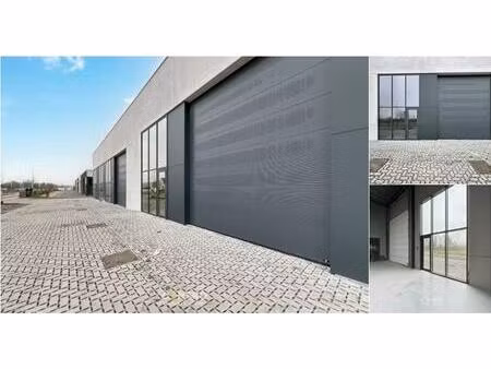 surface industrielle à vendre à rivaweg 3 dentergem (rbu94521)
