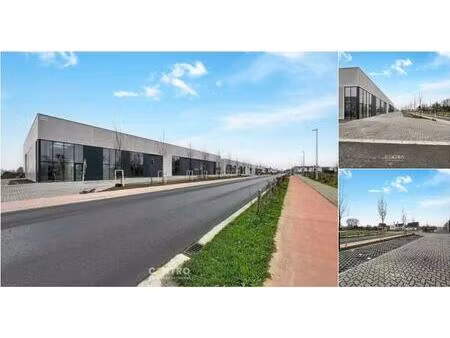 surface industrielle à vendre à rivaweg 3 dentergem (rbu94522)