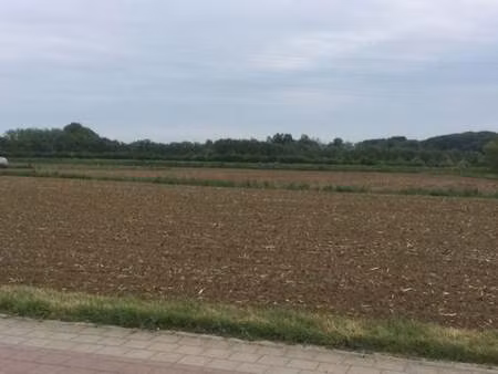 terrain à vendre à aarschot € 146.000 (lj0kh) - | zimmo