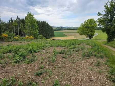 belle parcelle de fond de bois en zone agricole