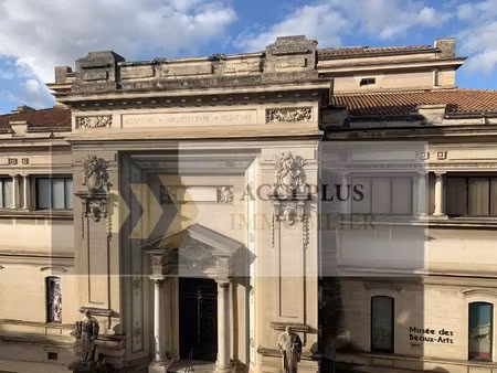 immeuble de style haussmannien – secteur arènes / musée des beaux-arts – nîmes centre