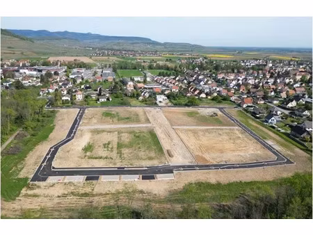 vente terrain 556 m² à issenheim (68500)  136 220 €