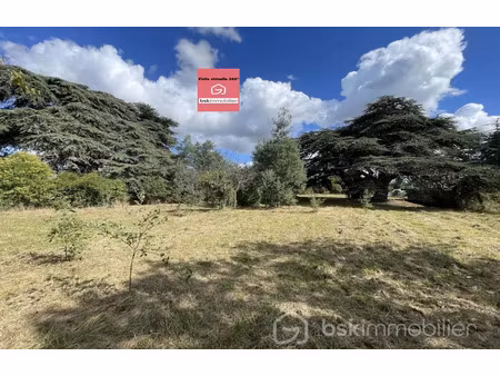 vente terrain 1848 m² à saint-sulpice (81370)  363 000 €