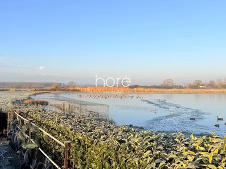 vente terrain 87559 m² à varaville (14390)  357 000 €