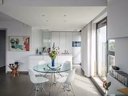 penthouse lumineux avec deux chambres  grandes terrasses ...