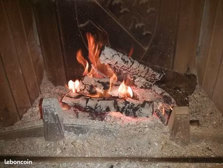 vends pavillon de 2009