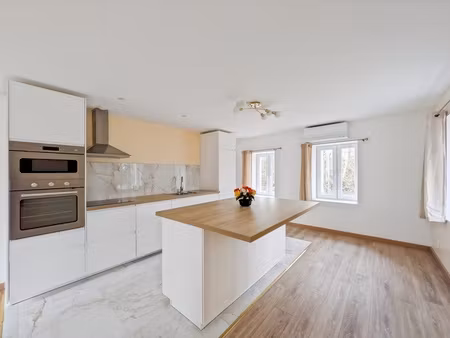 maison 217 m2 à vendre saint-paul-en_chablais entièrement rénovée avec cachet et modernité