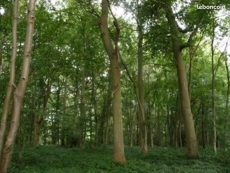 loue parcelle de bois