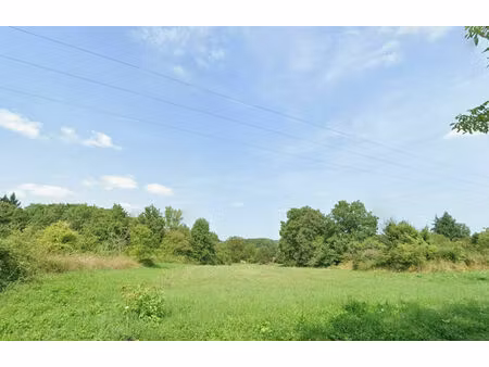 vente terrain  2998.00m²  couffy