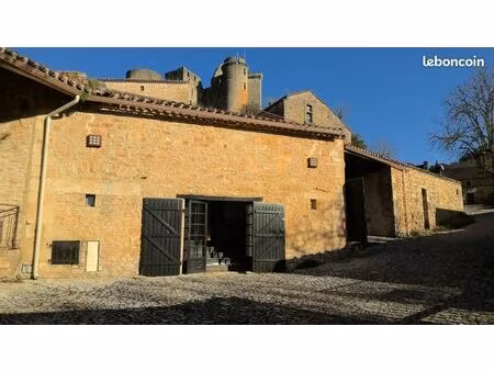 location local commercial dans zrr bonaguil ( 47500 )