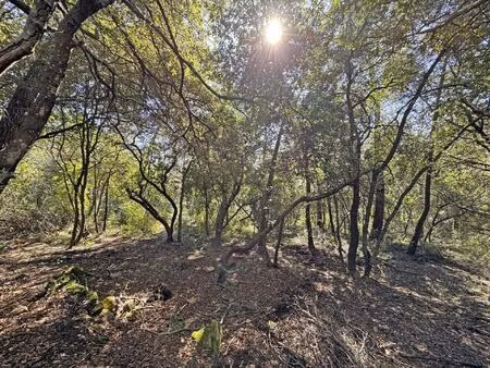 exclusivité- terrain inconstructible..