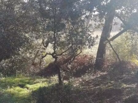 location maison 2 pièces 63 m² à lambesc (13410)