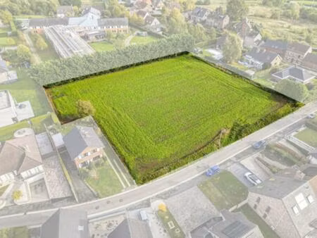 projectgrond te koop in dilbeek