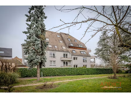 achat appartement 4 pièces 105m² niederhausbergen 67207