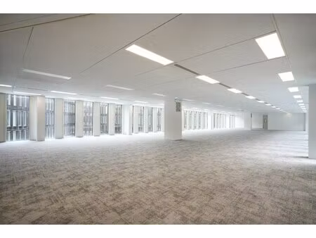 location local professionnel 430m²