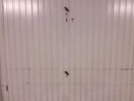 garage/box 14 m² lyon