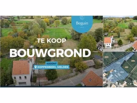 maison à vendre à rotelenberg 10 melden (rbu94660)