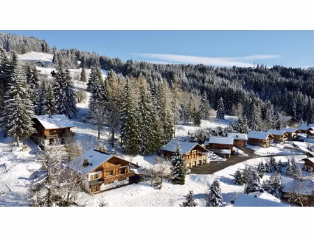 les chavannes  grand chalet avec terrain constructible