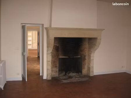 maison en pierre grand jardin à castets-en-dorthee