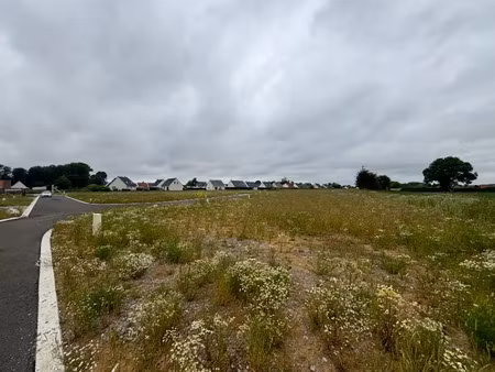 vente terrain 495 m² à renescure (59173)  76 725 €
