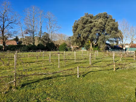 beau terrain viabilisé au coeur du bourg de saint-michel-escalus