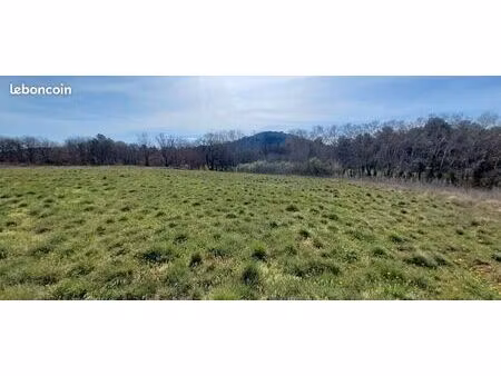 terrain 5 000 m² fox amphoux