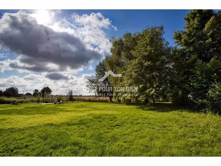 vente terrain 1150 m² à sainte-marie-cappel (59670)  96 900 €