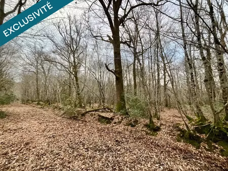 vente terrain 419062 m² à vouzeron (18330)  453 000 €