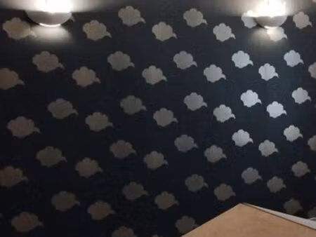 maison 1 chambre avec jardin