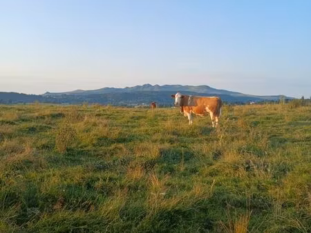 recherche terrain zone aop