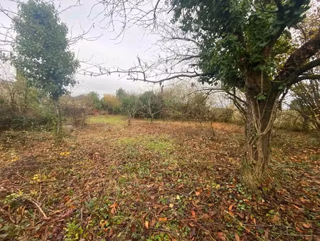 vente terrain 1338 m² à la riche (37520)  120 000 €
