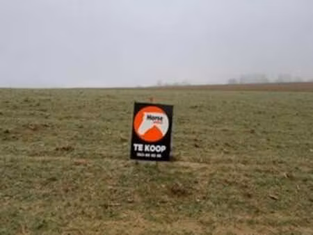 herzele - landbouwgrond van 46are