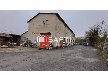vente locaux professionnels 1500 m² à graulhet (81300)  250 000 €