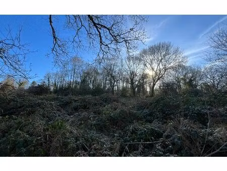 terrain treffrin m² t- à vendre  19 800 €