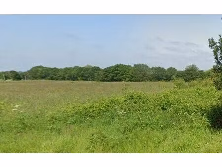 terrain treffrin m² t- à vendre  29 900 €