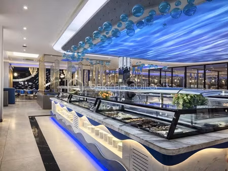 vente locaux professionnels à brie-comte-robert (77170)  390 000 €